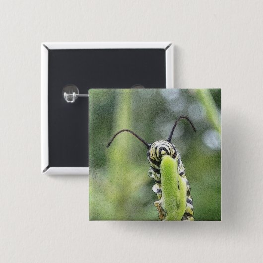 Wunderliche junge Monarch-Schmetterlings-Raupe Button (Vorne & Hinten)