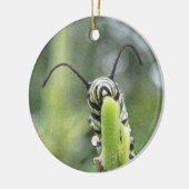 Wunderliche junge Monarch-Schmetterlings-Raupe Keramik Ornament (Links)