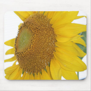 wunderliches Sonnenblume-Foto mousepad