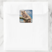 Wunderschale Quadratischer Aufkleber (Tasche)