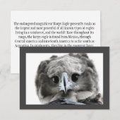 "Wunderschön Harpy Eagle" Dankeskarte (Vorne/Hinten)