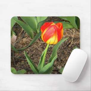 Wunderschön im Frühling...... Mousepad