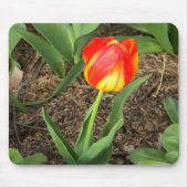 Wunderschön im Frühling...... Mousepad (Vorne)