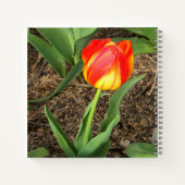 Wunderschön im Frühling.... Notizblock (Rückseite)