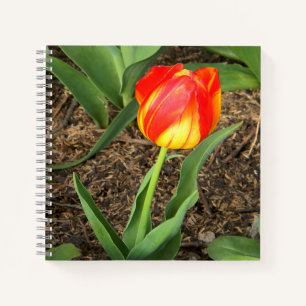 Wunderschön im Frühling.... Notizblock