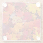 Wunderschöne Ahornbäume-Blätter Glasuntersetzer (Rückseite)