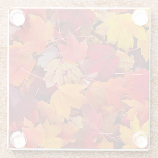 Wunderschöne Ahornbäume-Blätter Glasuntersetzer (Rückseite)