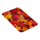 Wunderschöne Ahornbäume-Blätter Magnet (Rechte Seite)