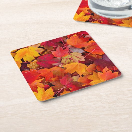 Wunderschöne Ahornbäume-Blätter Rechteckiger Pappuntersetzer (angewinkelt)