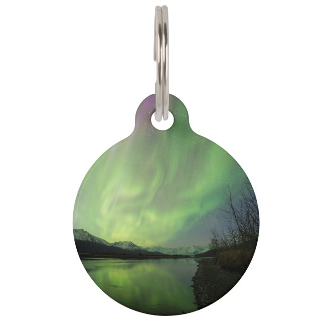 Wunderschöne Aurora Haustiermarke (Vorderseite)