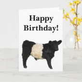 Wunderschöne Belted Galloway-Bullen-Postkarte Karte (Gelbe Blume)