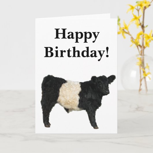 Wunderschöne Belted Galloway Ochsen-Postkarte Karte (Gelbe Blume)