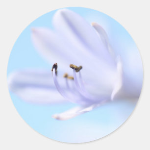 Wunderschöne blaue violette Blumen Hochzeitsgesche Runder Aufkleber