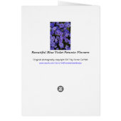 Wunderschöne blaue violette Petunienblumen Foto (Hinten)
