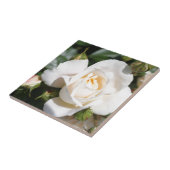 wunderschöne Blume mit weißer Rose. Liebe und Roma Fliese (Seite)