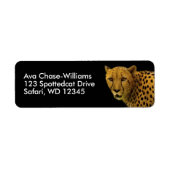 Wunderschöne Cheetah Big Wild Cat (Vorne)