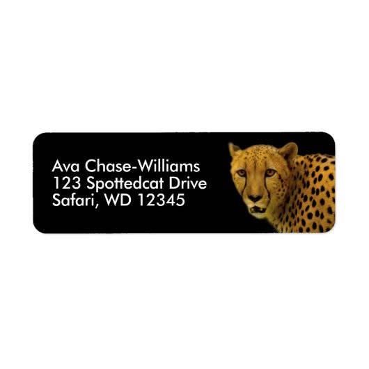 Wunderschöne Cheetah Big Wild Cat (Vorne)