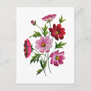 Wunderschöne Cosmos-Blumen in Crewel-Stickerei Postkarte
