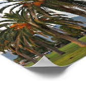 Wunderschöne Dattelbäume Poster (Ecke)