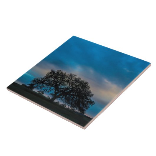 Wunderschöne Eichenbaumfotografie Fliese (Seite)