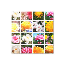 Wunderschöne farbenfrohe Blumen, rosa, weiße gelbe