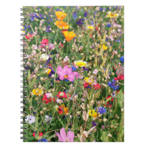 wunderschöne, farbenfrohe Wiese wilder Blume Notizblock