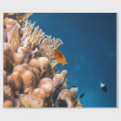 Wunderschöne Fische und Riffe Geschenkpapier (Flach)