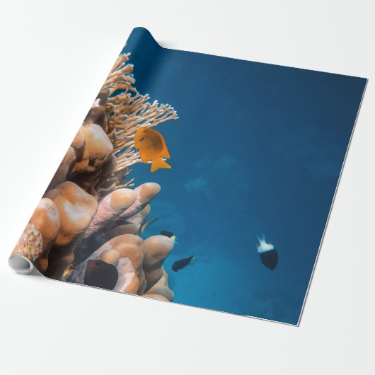 Wunderschöne Fische und Riffe Geschenkpapier (Ungerollt)