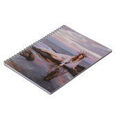 wunderschöne Frauen und das Buch der Seeschwalbe (Linke Seite)