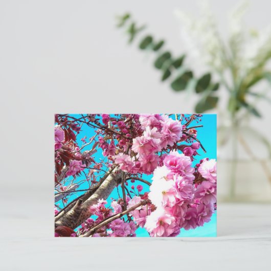 Wunderschöne Frühlingskirsche blüht digitale Maler Postkarte (Stehend Vorderseite)