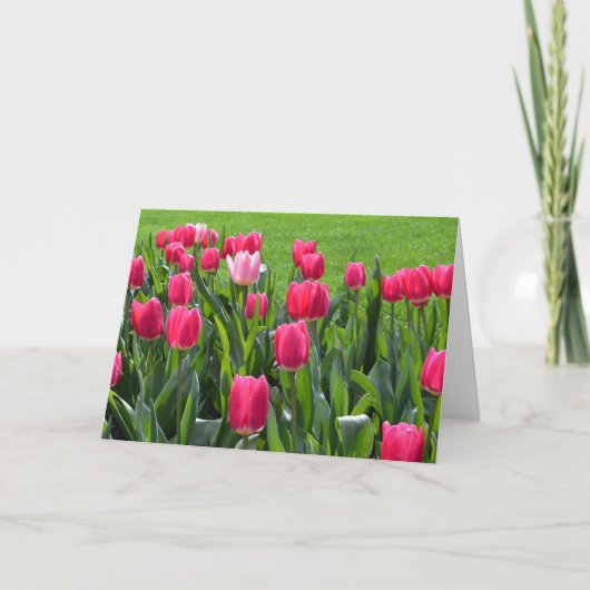 wunderschöne Frühlingsrosatulpenglücliche Geburtst Karte (Vorderseite)