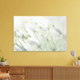 Wunderschöne Frühlingsweiße Blume Leinwanddruck