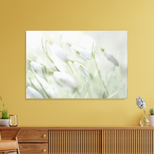 Wunderschöne Frühlingsweiße Blume Leinwanddruck (Insitu (Wohnzimmer))