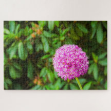 Wunderschöne Fuchsia-Blume in Keukenhof, Niederlan