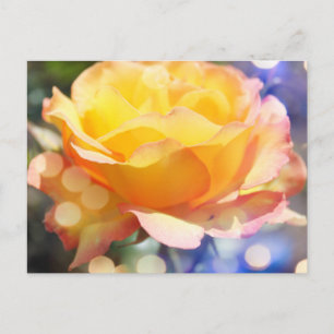 Wunderschöne gelbe Rosenblume. Blumenfotografie. Postkarte