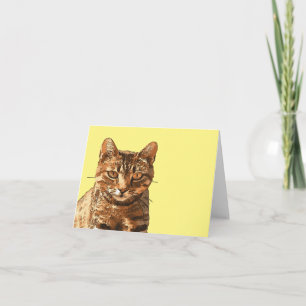 Wunderschöne getigerte Katze mit starrenden Augen  Karte