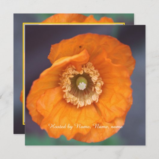 wunderschöne, goldgelbe Mohnblume Blume ganz Party Einladung (Vorne/Hinten)