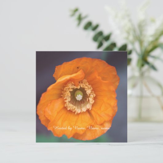 wunderschöne, goldgelbe Mohnblume Blume ganz Party Einladung (Stehend Vorderseite)