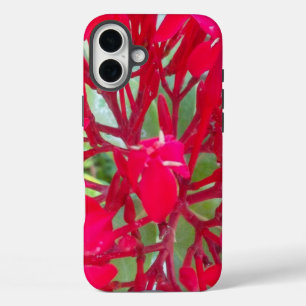 Wunderschöne großartige rote Blumen iPhone 16 Plus Hülle
