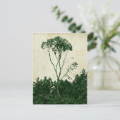 Wunderschöne grüne Baum-Postkarte Postkarte (Stehend Vorderseite)