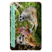 Wunderschöne Heilschrift Magnet Jeremiah 30:17 (Vertikal)