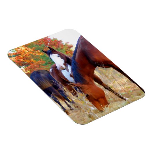 Wunderschöne Horsmagnete Magnet (Rechte Seite)