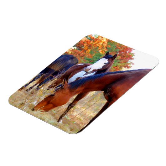 Wunderschöne Horsmagnete Magnet (Linke Seite)