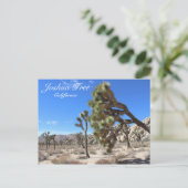 Wunderschöne Joshua Tree Postcard! Postkarte (Stehend Vorderseite)