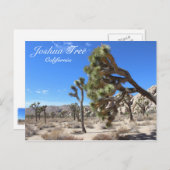 Wunderschöne Joshua Tree Postcard! Postkarte (Vorne/Hinten)