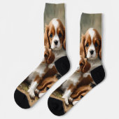 Wunderschöne Jungtiere von Cavalier Spaniel, Socken (Linkes Detail)