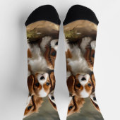Wunderschöne Jungtiere von Cavalier Spaniel, Socken (Oben)