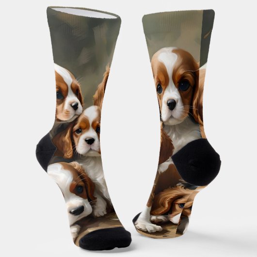 Wunderschöne Jungtiere von Cavalier Spaniel, Socken (Gewinkelt)