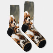 Wunderschöne Jungtiere von Cavalier Spaniel, Socken (Rechts)