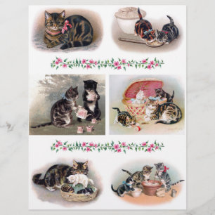 Wunderschöne Katzen- und Kätzchenillustrationen H.